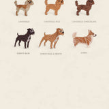 Personalised Storage Bucket - Dog Collection