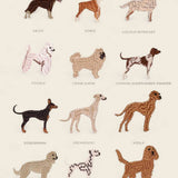 Personalised Storage Bucket - Dog Collection